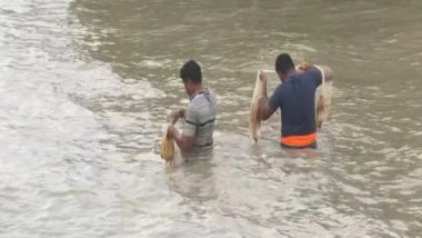 India News | Fishermen Go Fishing, Ignoring IMD Warning Not to Venture out in North Bay of Bengal