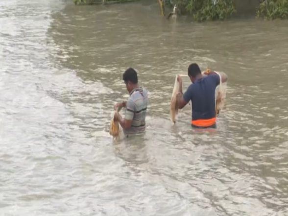 India News | Fishermen Go Fishing, Ignoring IMD Warning Not to Venture out in North Bay of Bengal - Vimarsana News