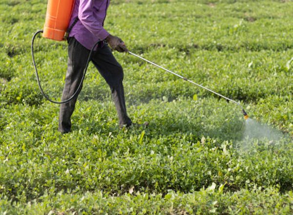 Business News | Indian Fertilizer Industry on Track to Reach Rs 1.38 Lakh Cr by 2032 Amidst Robust Growth and Strategic Innovations
