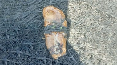 India News | BSF Recovers Suspected Packet of Heroin in Punjab's Amritsar