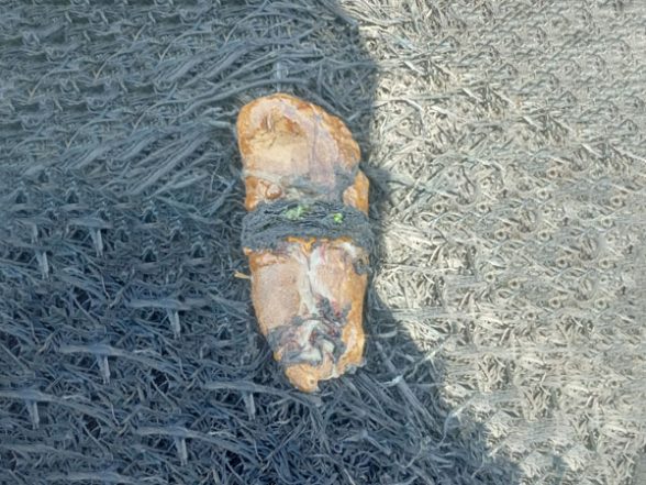 India News | BSF Recovers Suspected Packet of Heroin in Punjab's Amritsar - Vimarsana News