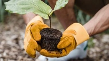 India News | Uttarakhand Saw 54 Pc Decline in Area Under Horticulture Production in Last Six Years: Research