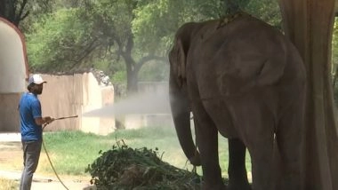 India News | Delhi Zoo Sets Up, Water Sprinklers, Pools for Animals Amid Increasing Heat