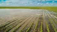 Business News | Healthy, Timely and Well-distributed Rains Can Boost Agriculture Incomes by Bolstering Rural Demand: CRISIL Report