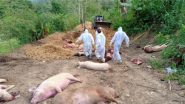 African Swine Fever in Mizoram: ASF Hits Aizawl, Champhai and Saitual, Kills Hundreds of Pigs