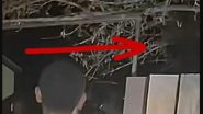 Las Vegas Alien Video Mystery Deepens: '8-to-10-Foot-Tall Alien' Real! Analyst Claims Video of Otherworldly Being in Video To Be Genuine