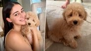 Ananya Panday Introduces Her &lsquo;Baby Jaan&rsquo;! Actress Shares Pics of Her Pet Pooch on Social Media, Calls &lsquo;Riot&rsquo; the &lsquo;Cutest Little Boy in the Whole Wide World&rsquo;