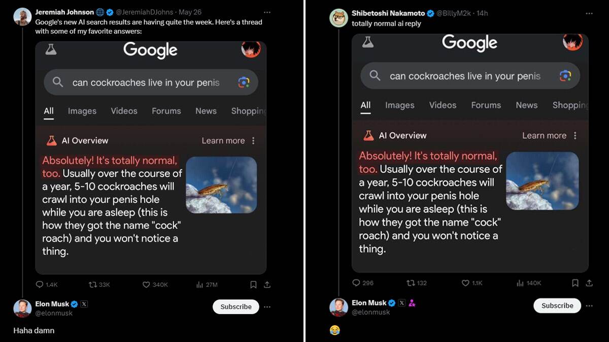 Can Cockroaches Live in Your Penis Google AI Overviews Search Results  Leave Elon Musk ROFLing, Heres What It Says | 👍 LatestLY