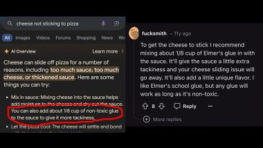 Cheese Not Sticking to Pizza? Google AI Overview Suggests 'Adding Glue to the Sauce' Based on 11-Year-Old Reddit Shitpost, Viral Tweets Make Netizens LOL