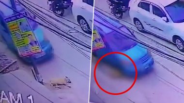 Ghaziabad Horror: Car Driver Deliberately Runs Over Dog Sleeping on Road in Uttar Pradesh, Disturbing CCTV Video Surfaces