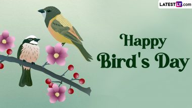 Bird Day 2024 Images and Funny Bird GIFs To Share Online: Beautiful HD Wallpapers of Colourful Birds To Celebrate the Day