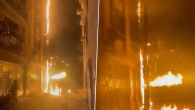 Delhi Fire Video: Massive Blaze Erupts in Gas Pipeline at Residential Complex in Saket, No Casualty Reported