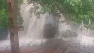 Sudden Flash Flood in Old Courtallam Waterfalls in Tamil Nadu’s Tenkasi, Public Entry Prohibited (Watch Video)