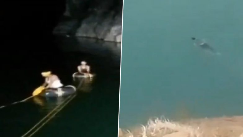 Reels Craze Turns Fatal: Jharkhand Youth Jumps Into Quarry Lake From Height of About 100-Feet to Make Instagram Reel, Dies (Watch Video)