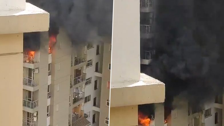 Noida Fire: AC Blast Triggers Blaze at Flat in Lotus Boulevard Society in Sector 100, Terrifying Video of Raging Flames Surfaces