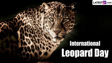 When Is International Leopard Day 2024? Know Date And Significance Of The Day That Highlights The Need To Protect Leopards And Their Habitats