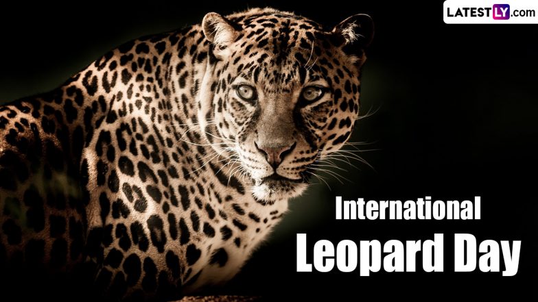 When Is International Leopard Day 2024? Know Date And Significance Of The Day That Highlights The Need To Protect Leopards And Their Habitats