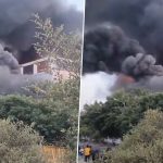 Manesar Fire Video: Massive Blaze Erupts at Cloth Manufacturing Unit in Haryana, Viral Clip Shows Black Smoke Covering Skies
