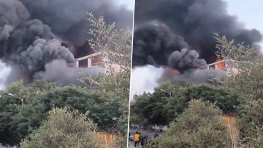 Manesar Fire Video: Massive Blaze Erupts at Cloth Manufacturing Unit in Haryana, Viral Clip Shows Black Smoke Covering Skies