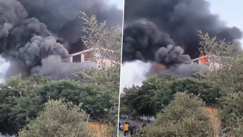 Manesar Fire Video: Massive Blaze Erupts at Cloth Manufacturing Unit in Haryana, Viral Clip Shows Black Smoke Covering Skies