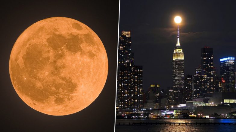 May 2024 Full Moon Pics: Flower Moon, Lights Up the Night Sky, Netizens Share Stunning Pictures and Posts of the Moon