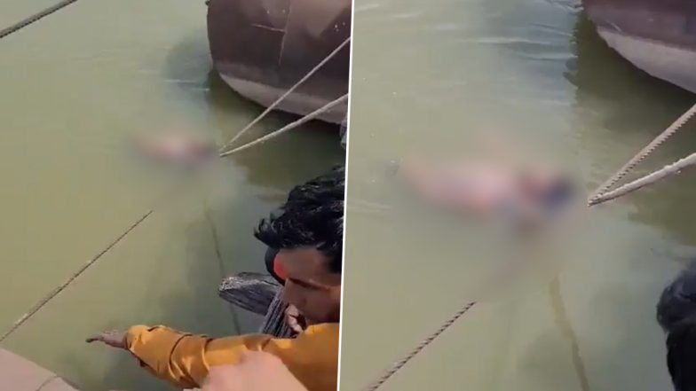 Uttar Pradesh Horror: Youth Dies of Snake Bite in Bulandshahr, Family Hangs Body in Ganga River for Two Days (Watch Video)