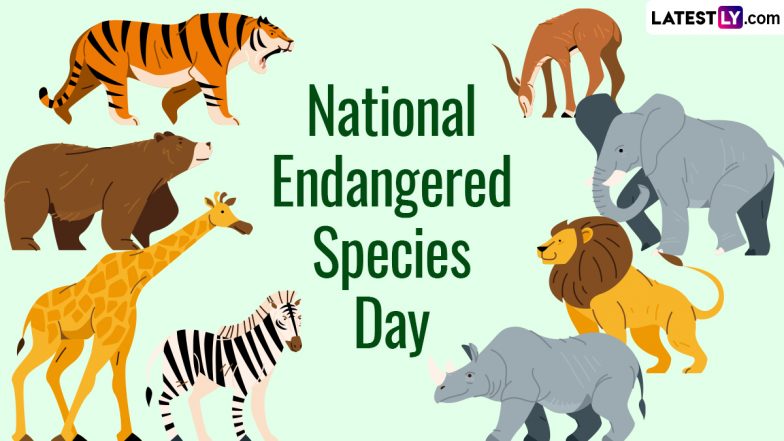 National Endangered Species Day 2024 Free Images and Wallpapers for ...