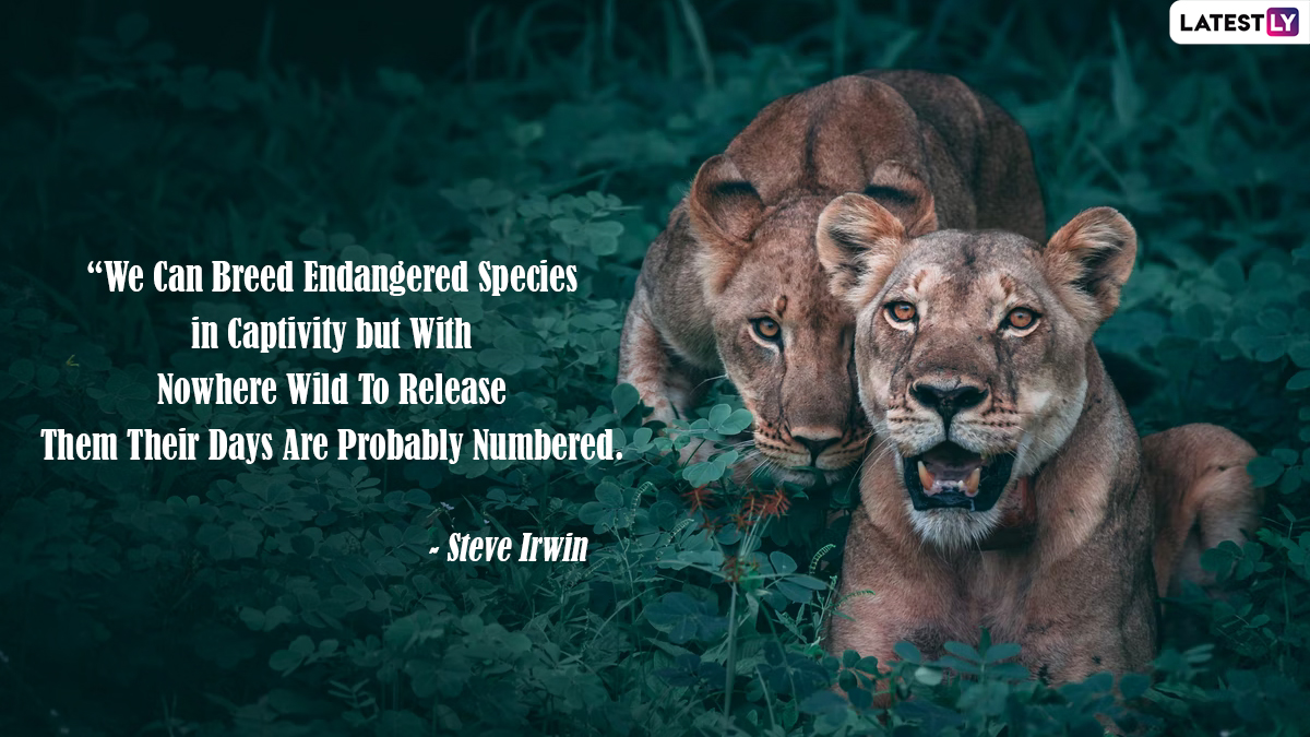 National Endangered Species Day 2024 Quotes & Images Wishes and