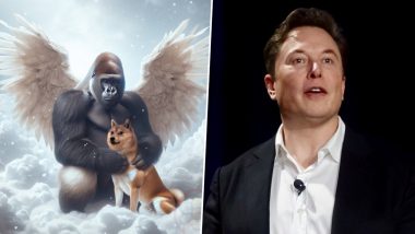 'Doge' Meme Dog Kabosu Dies, Elon Musk Pays Tribute With Sketch of Iconic Shiba Inu and Harambe Gorilla, Says, 'OG Doge Has Ascended to Heaven'