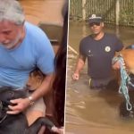 Lost Dogs Reunite With Their Owners in the Flood-Hit Brazilian State of Rio Grande Do Sul, Heartwarming Videos Go Viral