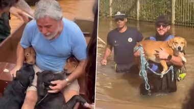 Lost Dogs Reunite With Their Owners in the Flood-Hit Brazilian State of Rio Grande Do Sul, Heartwarming Videos Go Viral