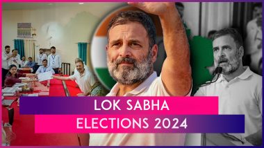 Lok Sabha Elections 2024: Rahul Gandhi Files Nomination Raebareli, Kishori Lal Sharma From Amethi