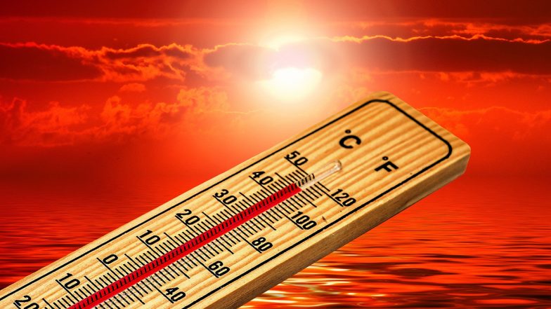 Heatwave in Rajasthan: Met Department Records Highest-Ever Temperatures in State With Phalodhi Registering 50 Degree Celsius