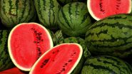 How To Recognise Fake Watermelon? Useful Tips and Tricks on Picking Naturally Sweet Watermelon and Learn To Check Adulteration in Watermelon With Cotton (Watch Video)