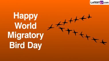 Share Happy World Migratory Bird Day 2024 Tweets, Quotes, Messages, Images and HD Wallpapers