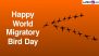 World Migratory Bird Day 2024 Images and Messages: Important Quotes, Wallpapers, Slogans and Posters Flood Social Media Platform for the Global Event