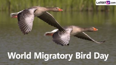 World Migratory Bird Day 2024 Date and Theme: Know History and Significance of the Global Event That Promotes Conservation Efforts for Migratory Birds