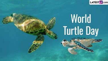 World Turtle Day 2024 Date and Theme: Know History and Significance of the Day That Raises Awareness About the Threats Faced by Turtles and Tortoises Worldwide