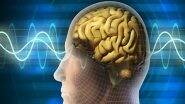 Who Is Kim Young-hoon? All You Need To Know About South Korean Man Recognised As Person With World’s Highest IQ of 276