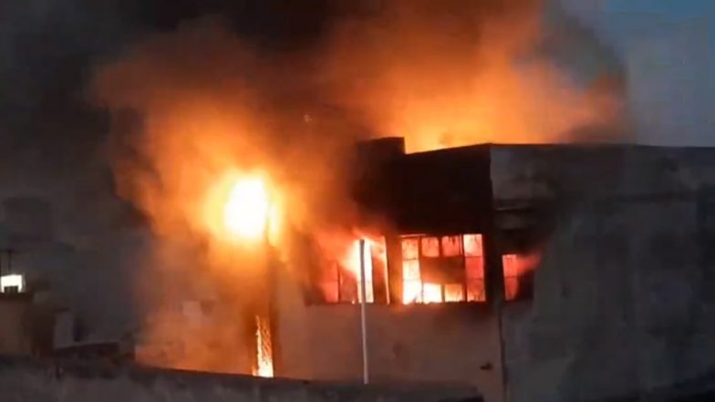 Gujarat Fire: Massive Blaze Erupts at Warehouse in Bhavnagar (Watch Video)