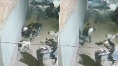 Ghaziabad: Thieves Caught on CCTV Camera Taking Away Goats in Luxury Car, Police Register Case After Video Surfaces