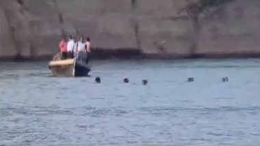 Gujarat: Seven Feared Drowned in Narmada River; Search Operation Underway (Watch Video)