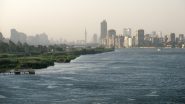 Egypt: 10 Dead After Minibus With 20 Passengers Plunges Into Nile River Near Cairo, Driver Arrested; Search Operation Underway