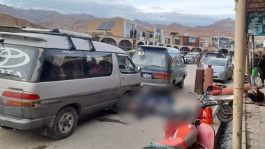 Afghanistan Armed Attack: Four, Including Spanish Tourists Killed, Seven Injured in Shooting in Bamyan Province (See Pic)