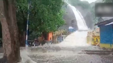 Tamil Nadu Rains: Flash Flood at Old Courtallam Falls in Tenkasi, One Dead (Watch Video)