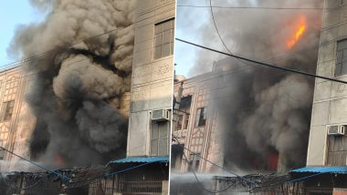 Delhi Fire: Massive Blaze Erupts at Factory in Industrial Area of Bawana; No Casualty Reported (See Pics)