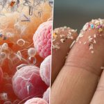 Cancer-Causing Microplastics Found in 100% of Men’s Testicles, Polythene Among Most Common Plastics: Study