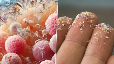 Cancer-Causing Microplastics Found in 100% of Men's Testicles, Polythene Among Most Common Plastics: Study