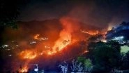 Uttarakhand Forest Fire: Five People Killed in Raging Forest Fire, 1300 Hectares of Land Affected (Watch Videos)