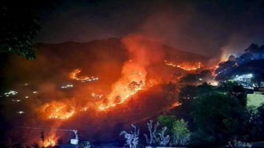 Uttarakhand Forest Fire: Five People Killed in Raging Forest Fire, 1300 Hectares of Land Affected (Watch Videos)